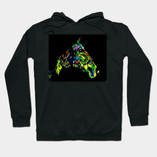 Horse of a different color Hoodie